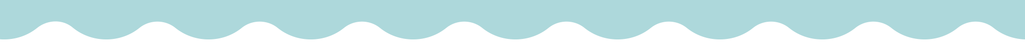 Section divider
